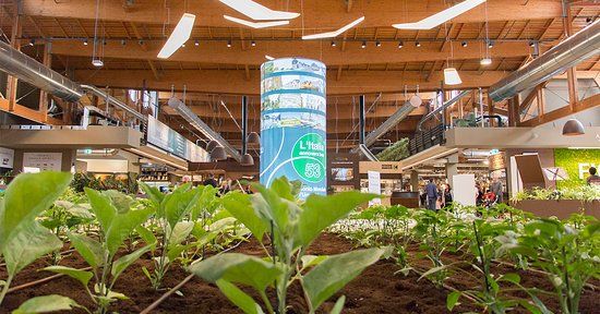 Palais des congrès Fico Eataly World